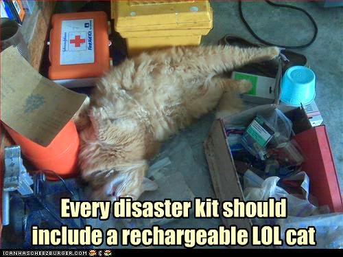 rechargeable-lol-cat2