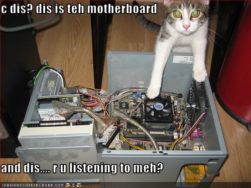 cat-explains-computers