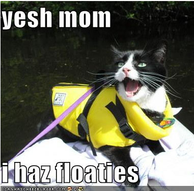 LOLCat2 floaties