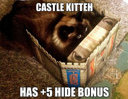 castle cat 2