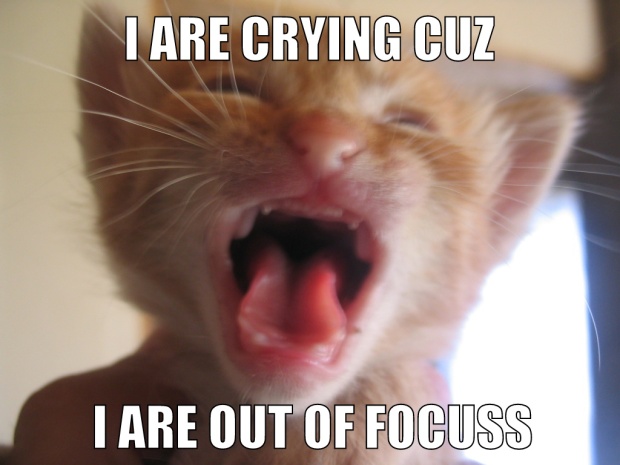 Cat_crying_(Lolcat)