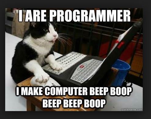 lolcat programmer