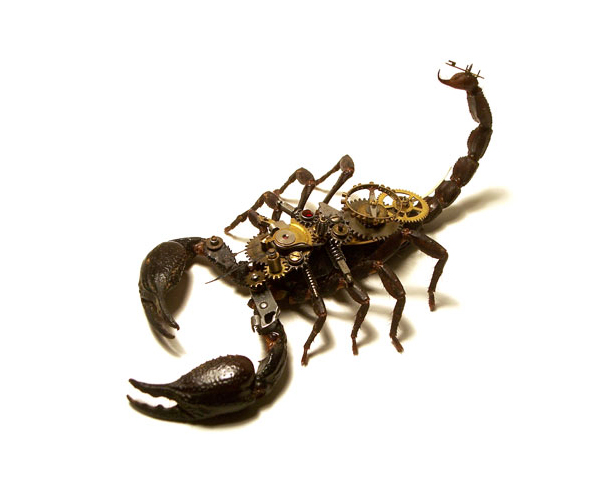 scorpion gears