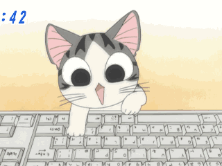 programming cat