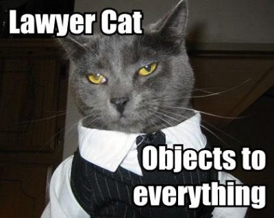 lawyer-cat1
